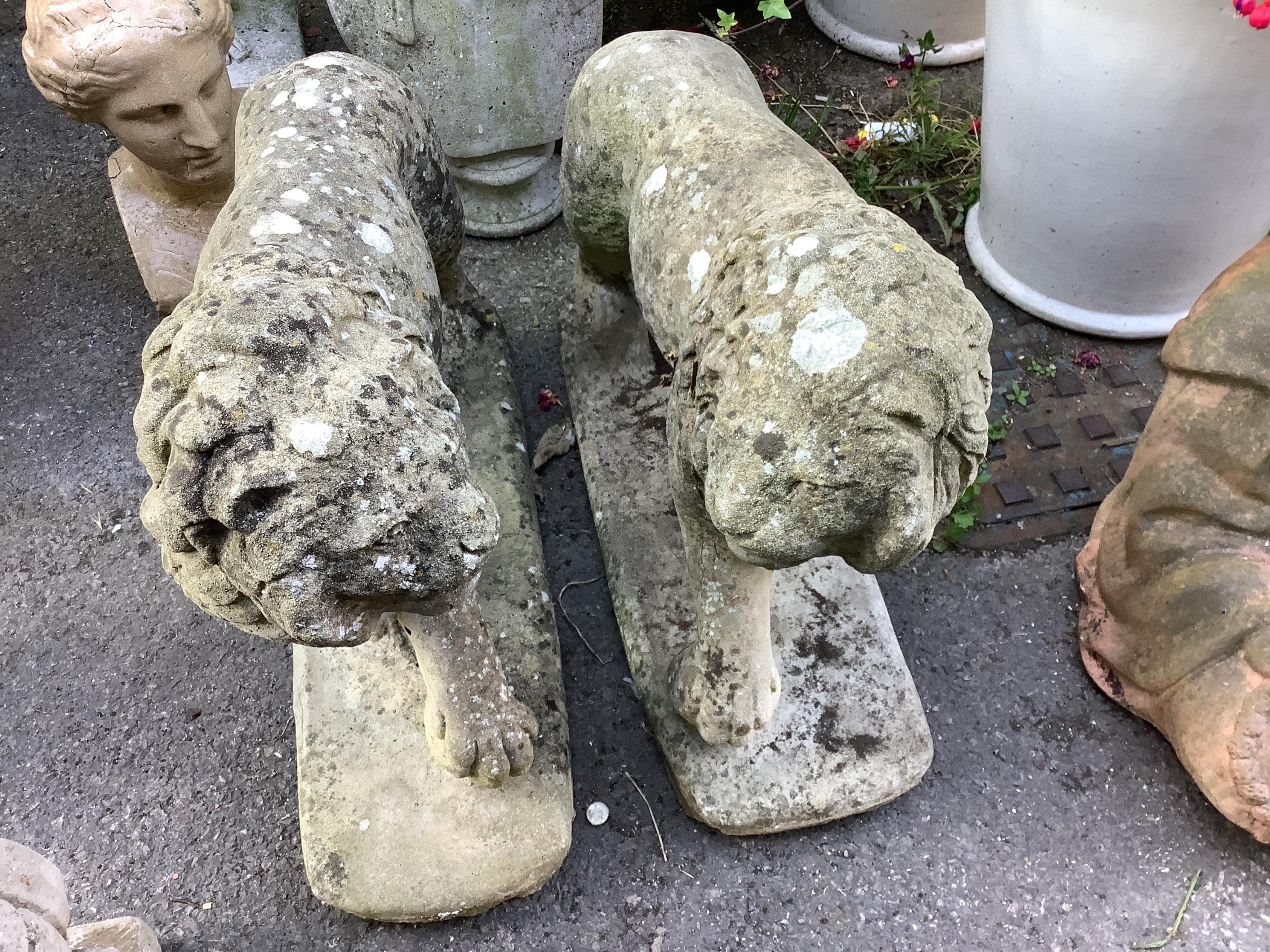 A pair of reconstituted stone standing lion garden ornaments, length 66cm, height 56cm. Condition - fair